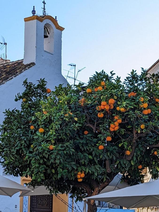 Marbella - Playa Alicate 2Br Holiday Apartment Esterno foto